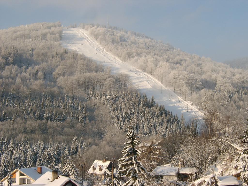 Pension Mikulka Mikulov v Krusnych Horach Exterior foto